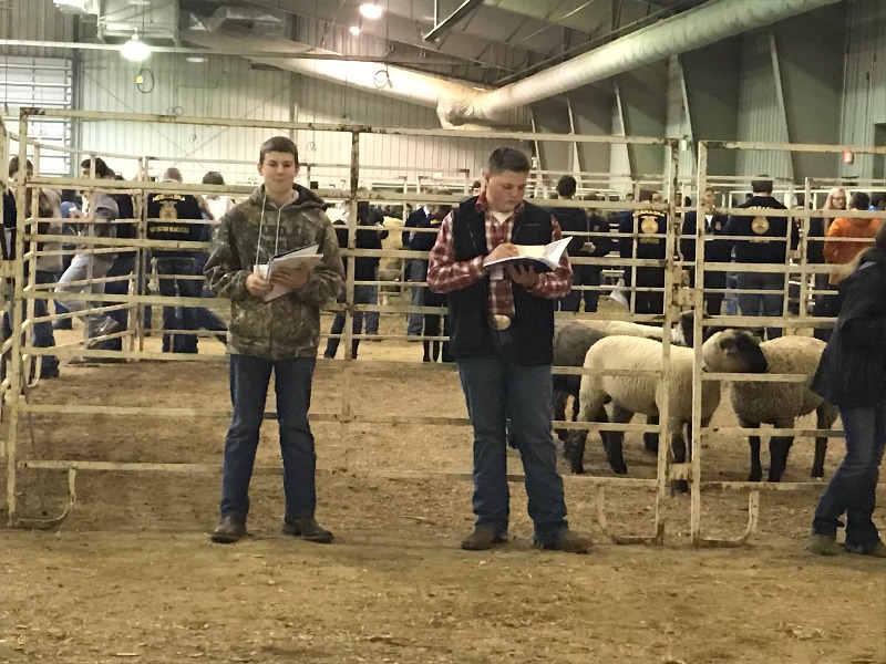 Clarkson Public Schools Livestock Judging Results